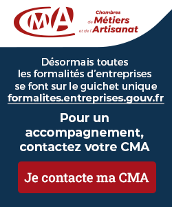 Formalites.entreprises.gouv.fr pour simplifier les formalités administratives des professionnels